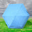 5 Fold Manual Open Umbrella With Capsule Case (1 Pc)
