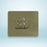 Adhesive Sticky Waterproof and Oil Proof, Reusable Wall Utility Seamless Wall Hook