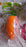 Student Pencil Sharpener Cartoon Simple Carrot Pencil Sharpener Suitable for Students, Children, School, Stationery (1 Pc)