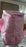 Zip Lunch Bag Cute Animal Lunch Bag with Carry Adjustable Strap Lunch Bag for Women Durable Reusable Durable Handbag Bag (1 Pc)