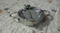 cooking mold