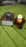 Festival led light